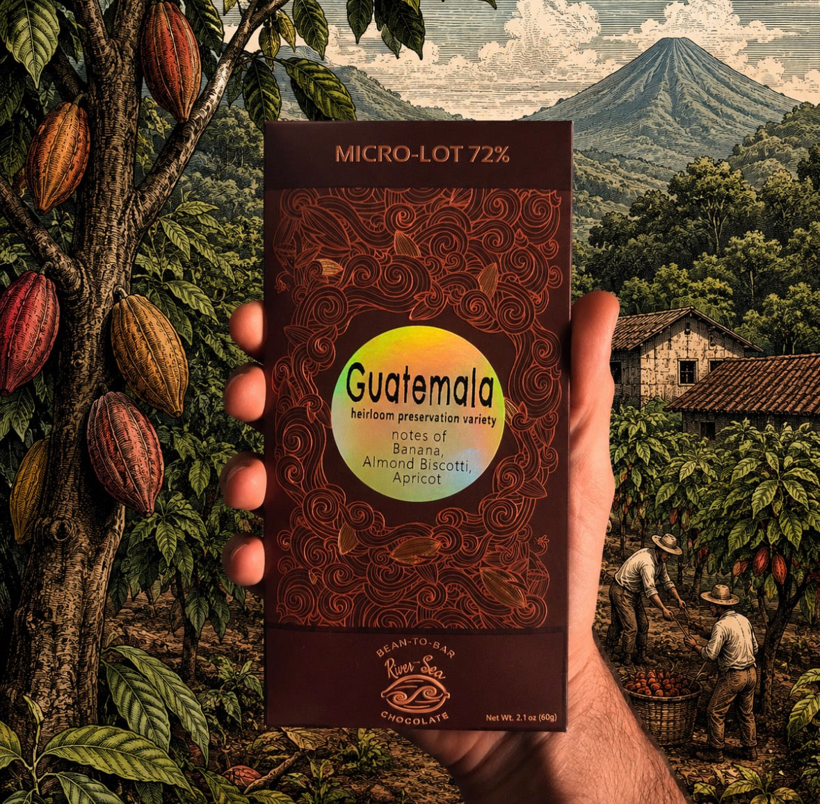 Guatemala 72%